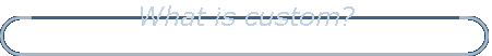 What is custom?